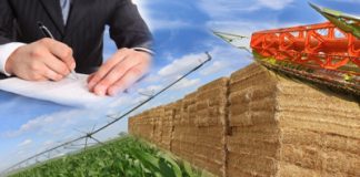 Ofertă de vânzare teren extravilan nr 163
