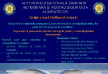 INFORMARE CU PRIVIRE LA PREZENTA VIRUSULUI AVIAR LA CADAVRU DE LEBADA DE IARNA GADITA IN ACVATORIUL PORTUAR DOUA DANE APARTINAND CNAPM CONSTANTA